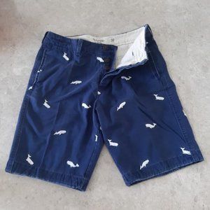 Abercrombie & Fitch Men's Shorts